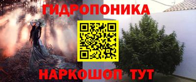 индика Гулькевичи