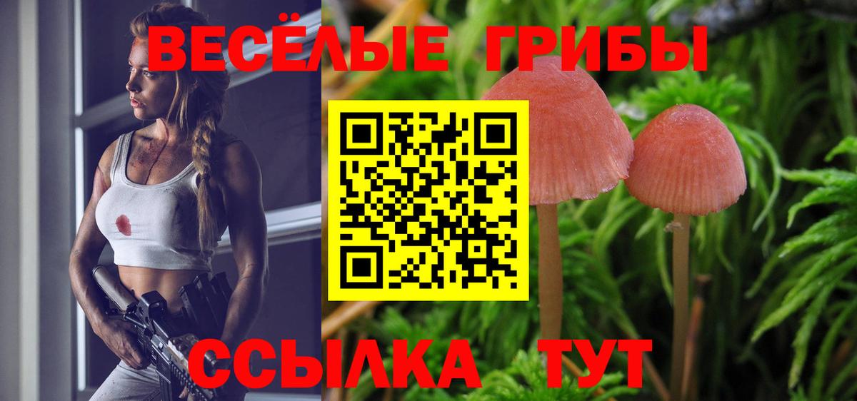 Псилоцибиновые грибы Psilocybe Воронеж