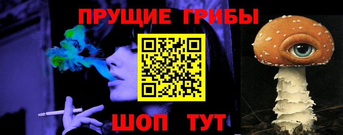 Воронеж  Галлюциногенные грибы Psilocybe  Вход с VPN 